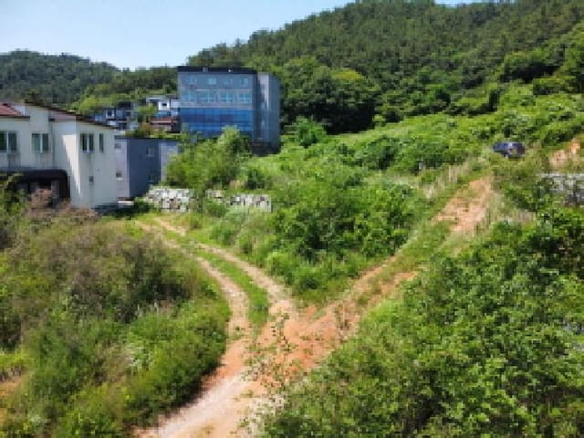 B000422202501300215604.jpg