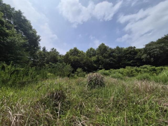 B000422202501300215701.jpg