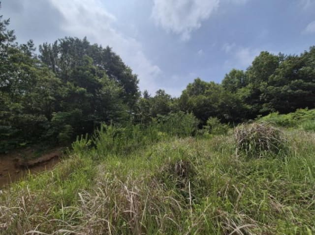 B000422202501300215702.jpg