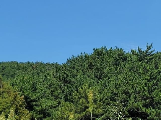 B000422202501300216674.jpg