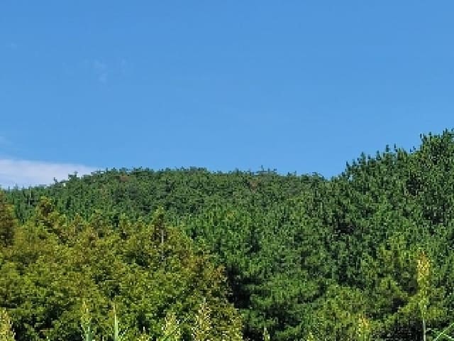 B000422202501300216673.jpg