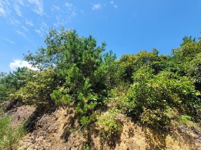 B000422202501300216671.jpg