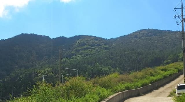 B000422202501300216804.jpg