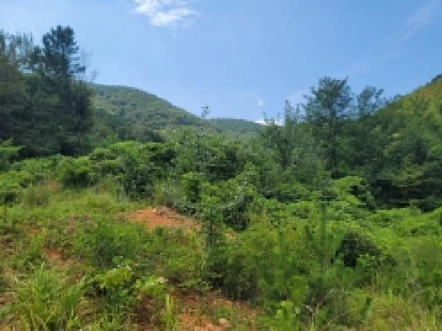 B000422202501300217011.jpg