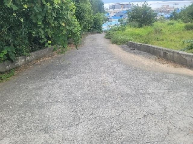 B000422202501300217053.jpg