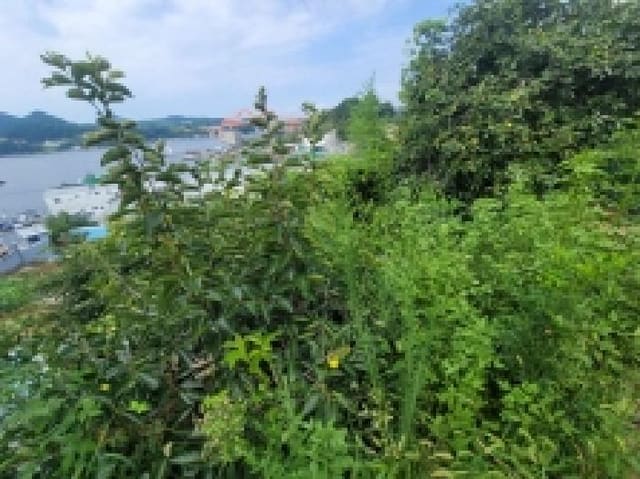 B000422202501300217151.jpg