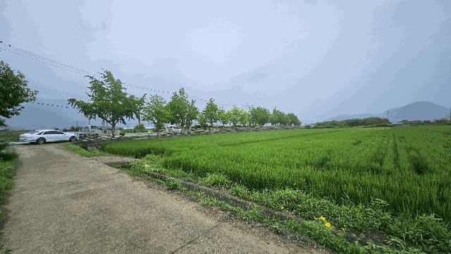 B000422202501300217244.jpg