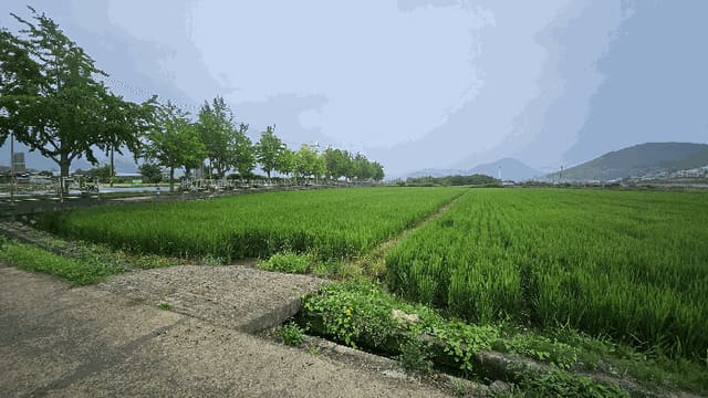 B000422202501300217242.jpg