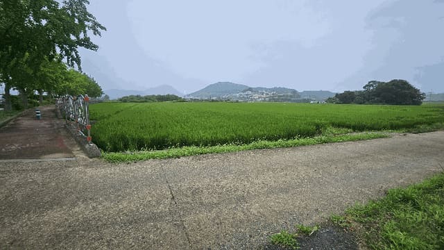 B000422202501300217243.jpg