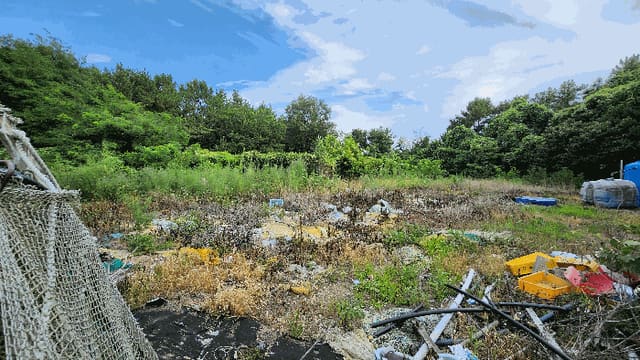 B000422202501300217303.jpg