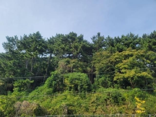B000422202501300217351.jpg