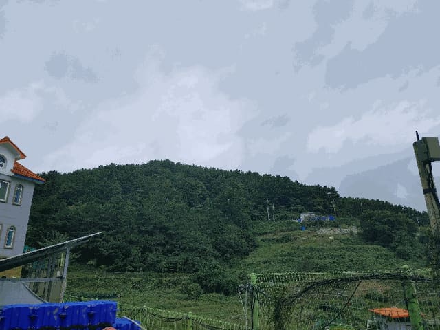 B000422202501300217354.jpg