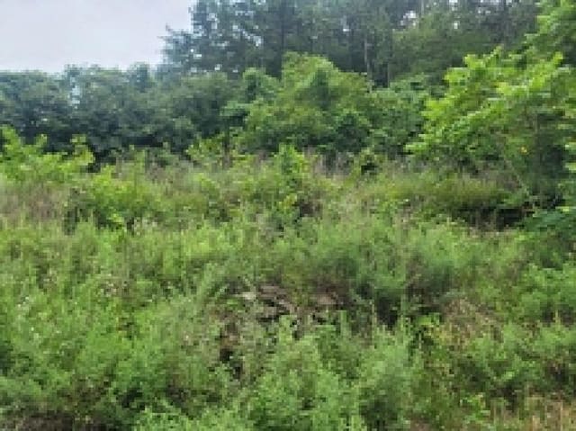 B000422202501300217471.jpg
