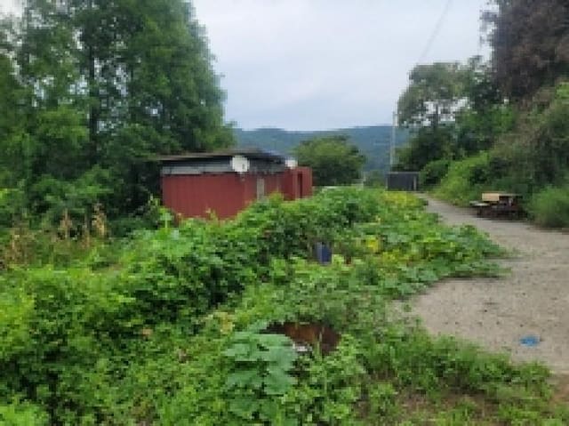 B000422202501300217481.jpg