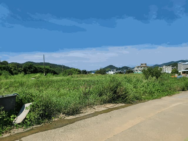 B000422202501300218134.jpg
