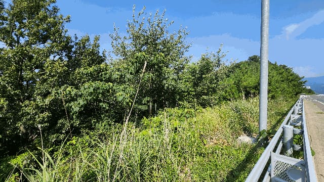 B000422202501300218174.jpg