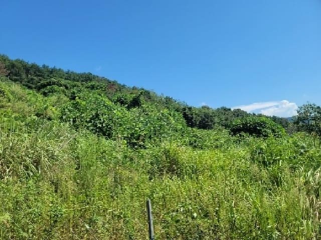 B000422202501300218263.jpg