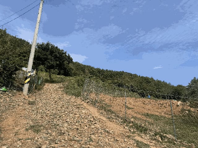 B000422202501300218264.jpg