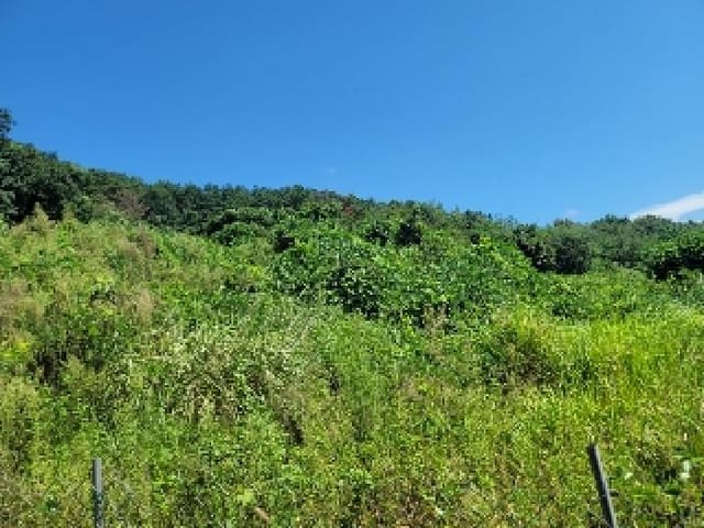 B000422202501300218261.jpg