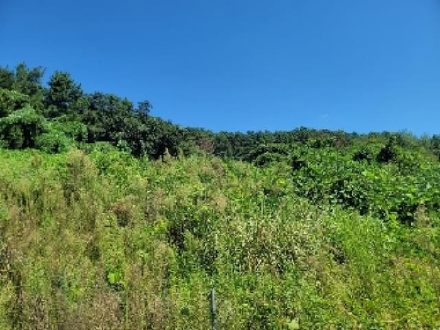 B000422202501300218262.jpg