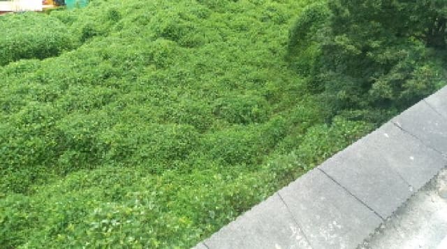 B000422202501300218293.jpg