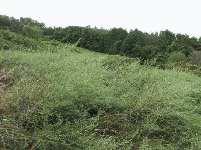B000422202501300218759.jpg