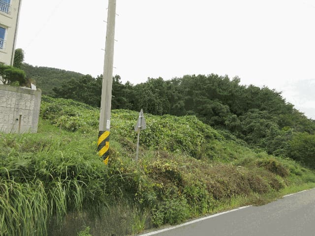 B0004222025013002187512.jpg