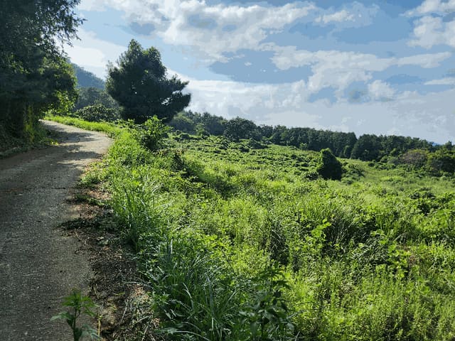 B000422202501300218774.jpg