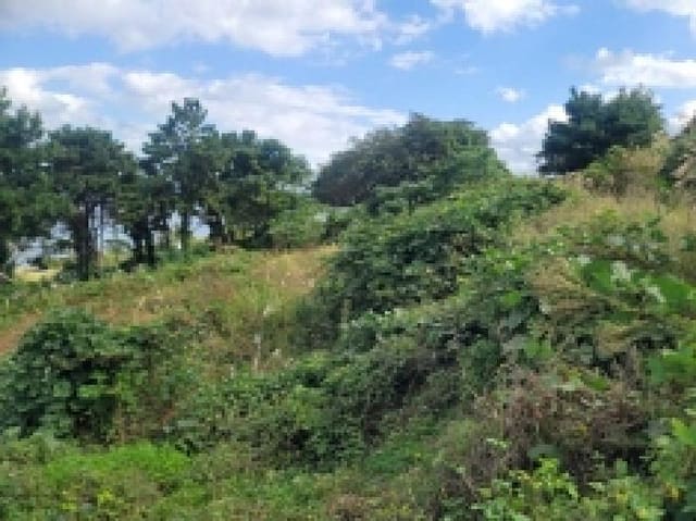 B000422202501300218784.jpg