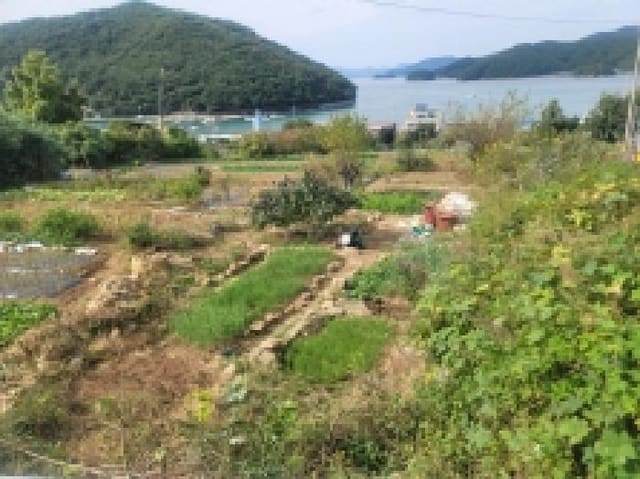 B000422202501300219223.jpg