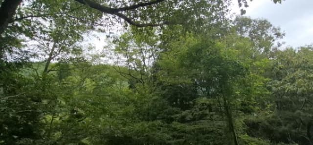 B000422202501300219384.jpg