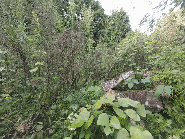 B000422202501300219712.jpg