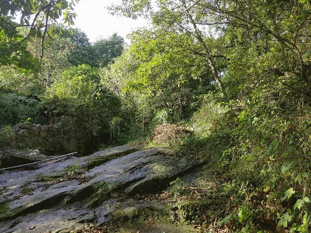 B000422202501300219713.jpg
