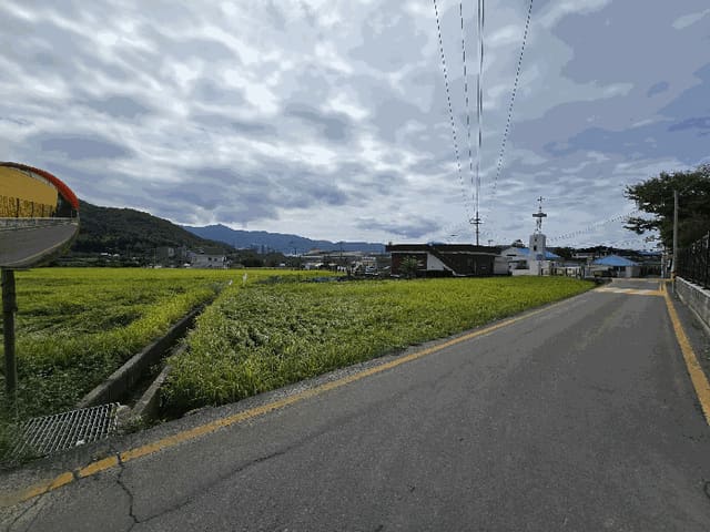 B000422202501300219974.jpg