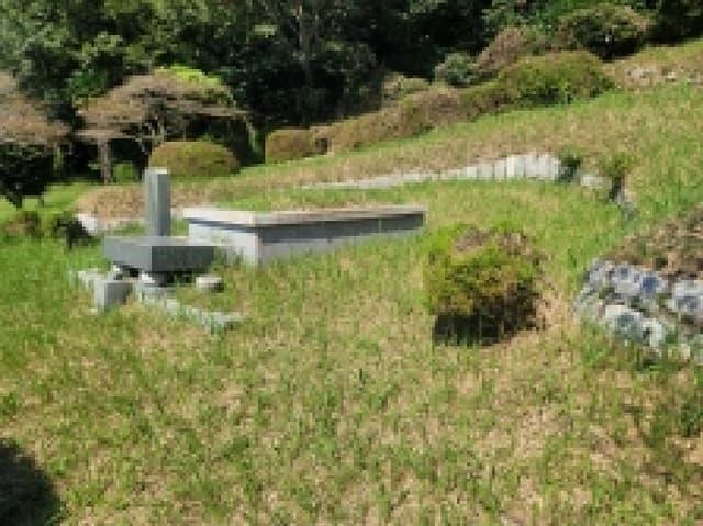 B000422202501300220004.jpg