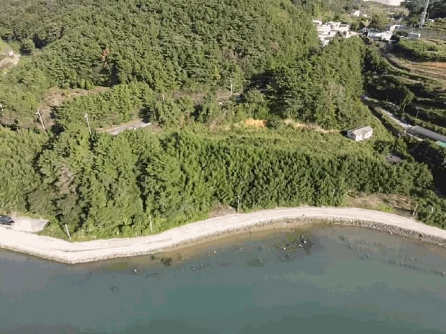 B0004222025013002200318.jpg