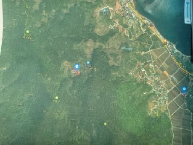 B000422202501300220052.jpg