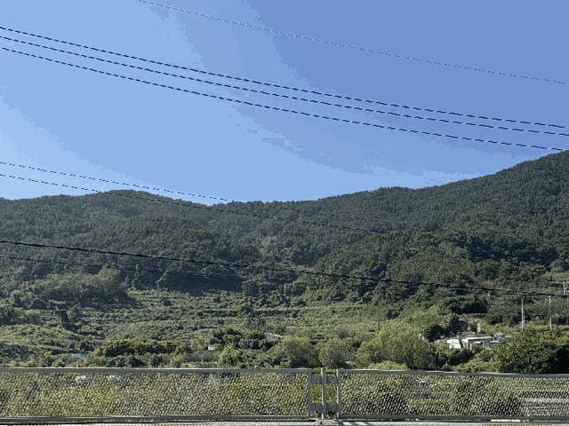 B000422202501300220053.jpg