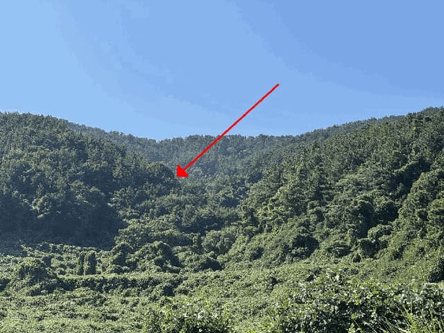B000422202501300220054.jpg