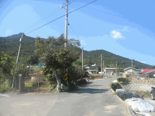 B000422202501300220394.jpg