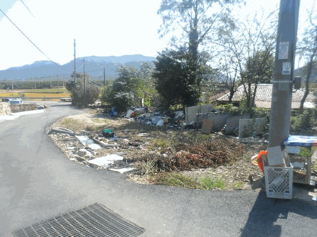 B000422202501300220393.jpg