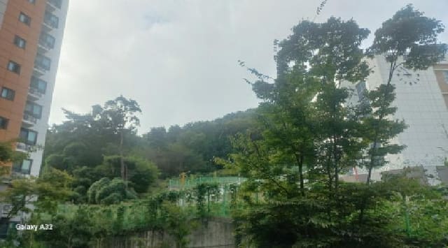 B000422202501300220483.jpg