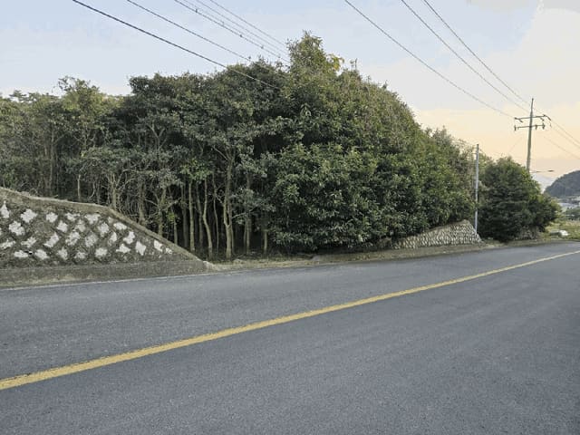 B000422202501300220824.jpg