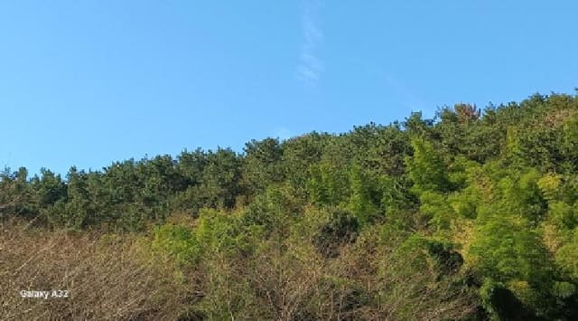 B000422202501300220861.jpg