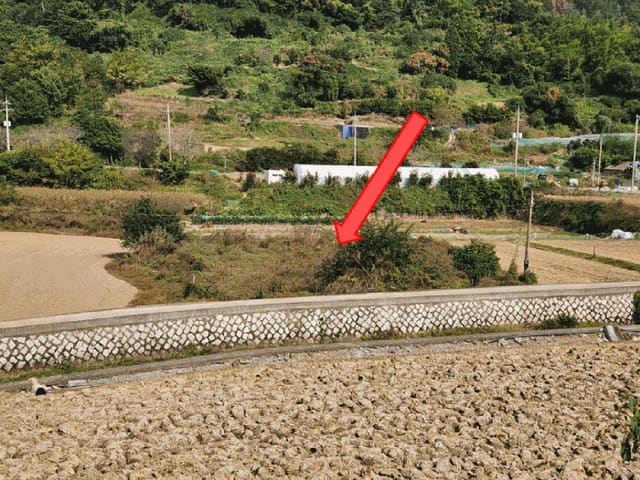 B000422202501300221044.jpg