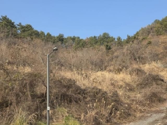 B000422202501300221182.jpg