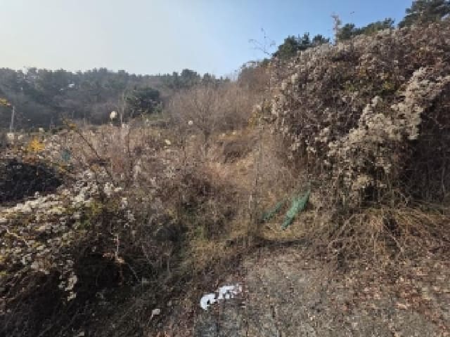 B000422202501300221183.jpg