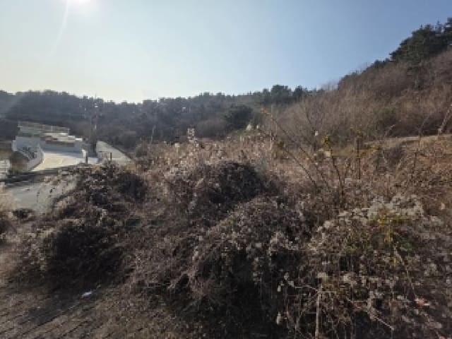 B000422202501300221184.jpg