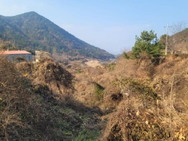 B000422202501300221441.jpg