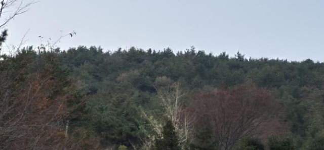 B000422202501300221753.jpg